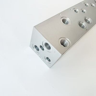 819055 Cuerpo de válvula Elmo Extensor Partes de repuesto